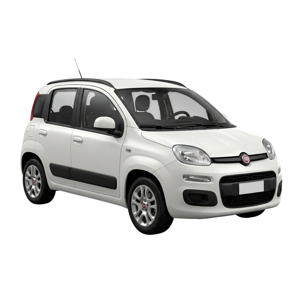 foto panda auto 1
